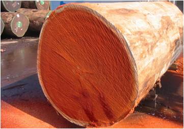 Nguyên liệu gỗ gõ đỏ